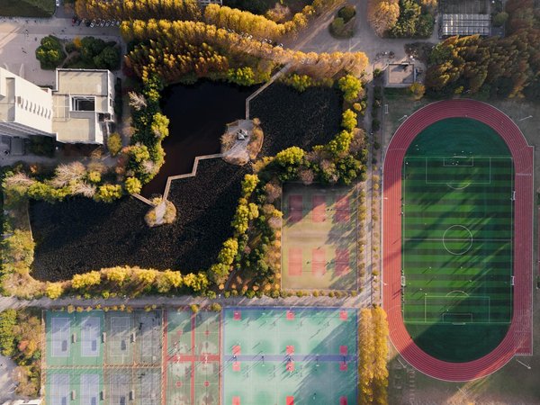 Le combat féminin dans le sport professionnel